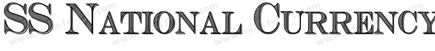 SS National Currency字体转换